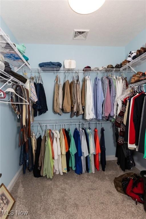 spacious closet featuring carpet flooring and visible vents