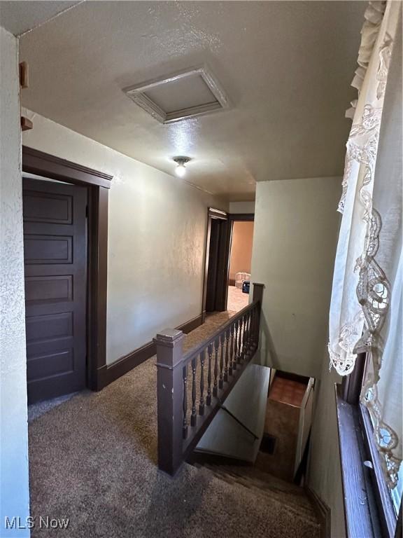 stairs featuring visible vents, attic access, and carpet