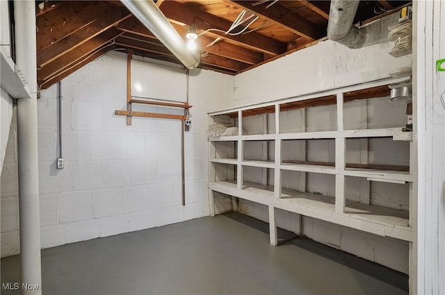 unfinished basement featuring concrete block wall