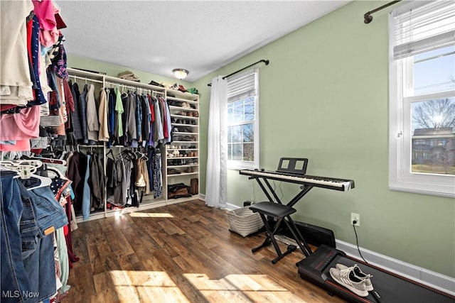 spacious closet with wood finished floors