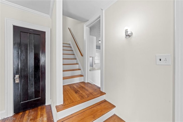 stairs featuring wood finished floors