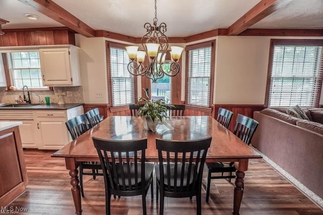 dining space featuring dark wood finished floors, beam ceiling, a healthy amount of sunlight, and wainscoting