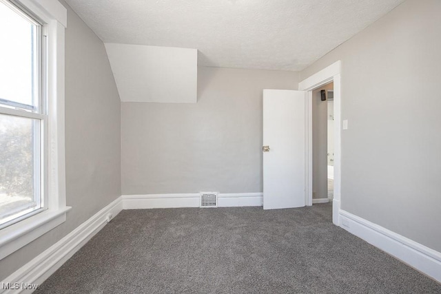 additional living space featuring carpet floors, a textured ceiling, and a healthy amount of sunlight