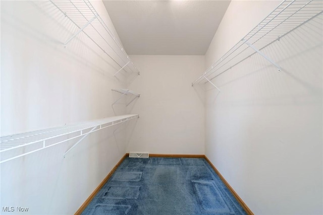 spacious closet featuring visible vents and carpet floors