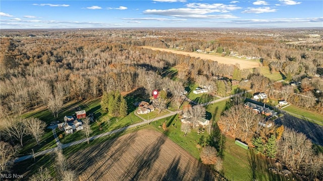 aerial view with a view of trees