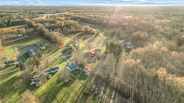 birds eye view of property featuring a forest view