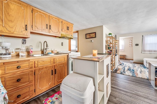 kitchen featuring plenty of natural light, range with electric cooktop, open shelves, and a sink