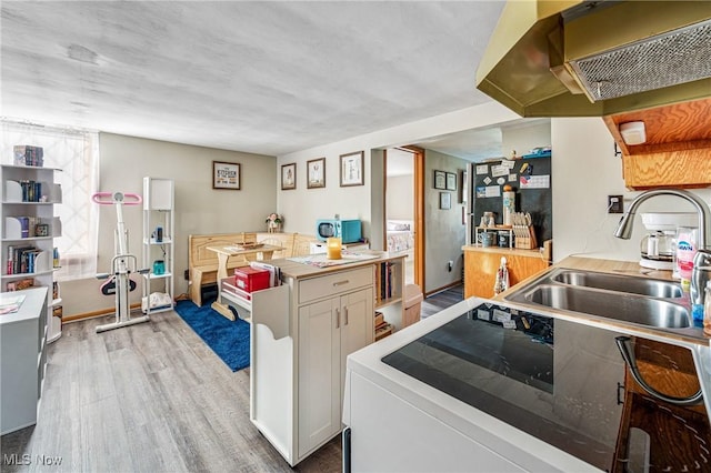 kitchen with stainless steel microwave, wood finished floors, under cabinet range hood, and a sink