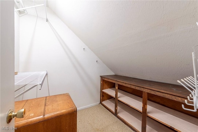 spacious closet featuring light colored carpet