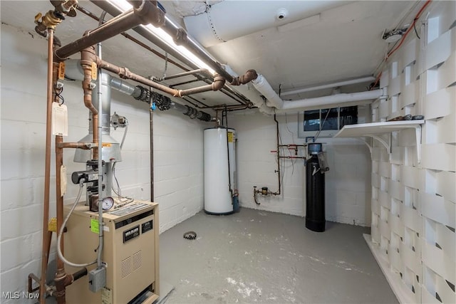 unfinished basement featuring gas water heater and concrete block wall