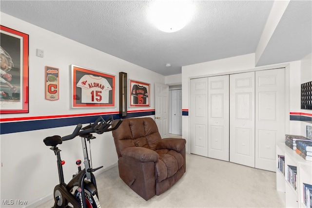 living area with carpet and a textured ceiling