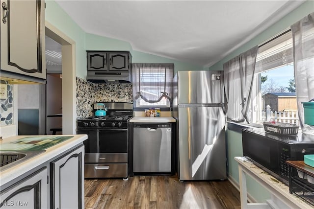 kitchen featuring under cabinet range hood, plenty of natural light, stainless steel appliances, and light countertops