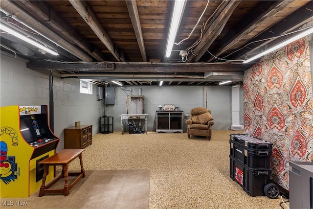 basement featuring electric panel