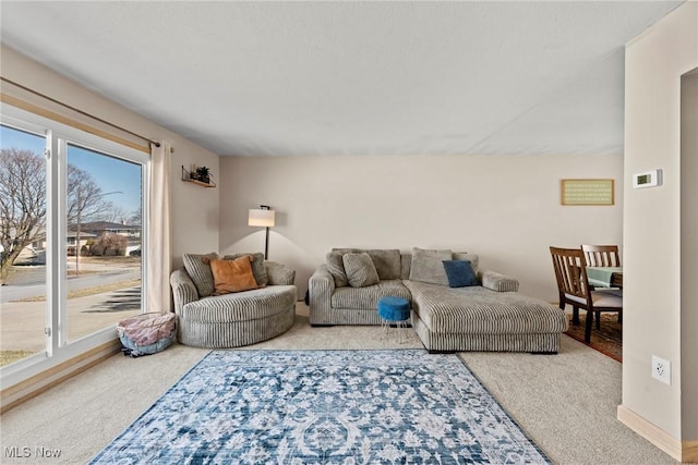 view of carpeted living room