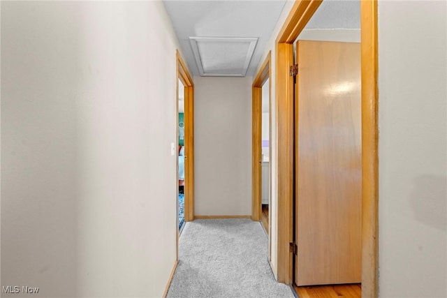 corridor featuring attic access, baseboards, and carpet floors