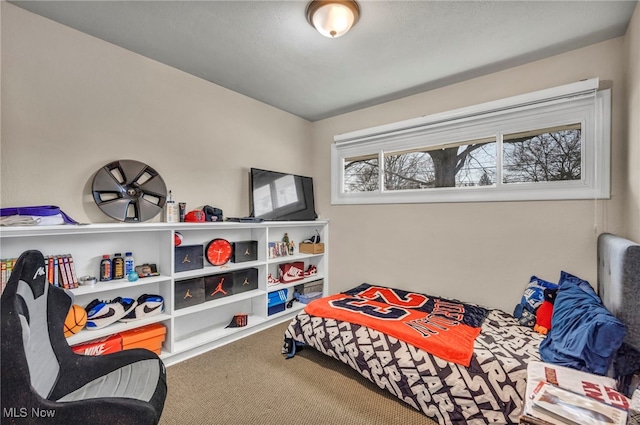 bedroom with carpet floors