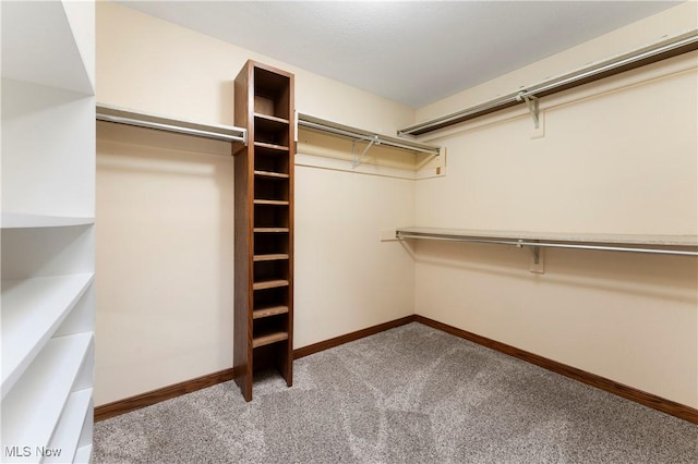 walk in closet with carpet floors