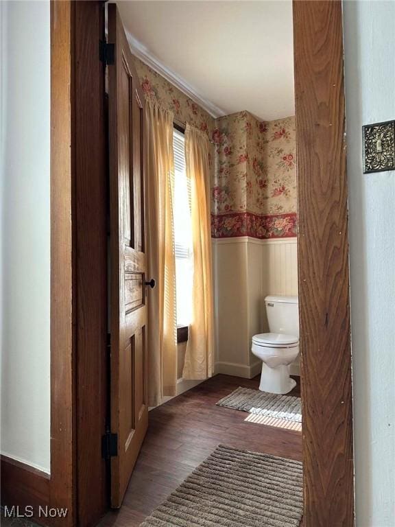 half bathroom featuring a wainscoted wall, toilet, and wood finished floors