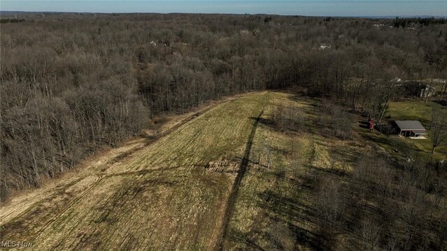 5073 W Streetsboro Rd, Richfield, OH 44286 - photo 12