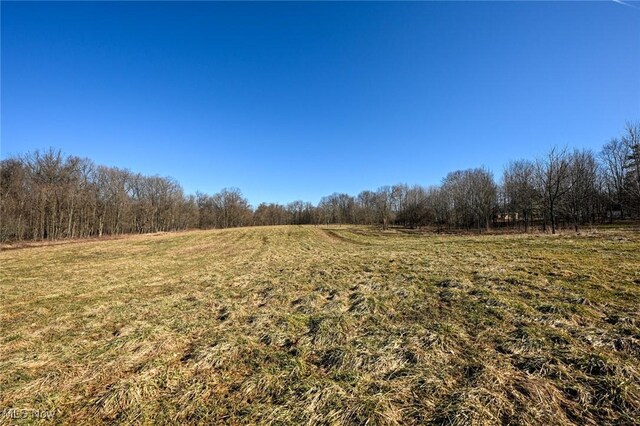 5073 W Streetsboro Rd, Richfield, OH 44286 - photo 16