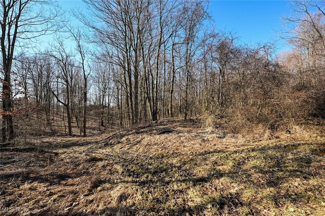 5073 W Streetsboro Rd, Richfield, OH 44286 - photo 18