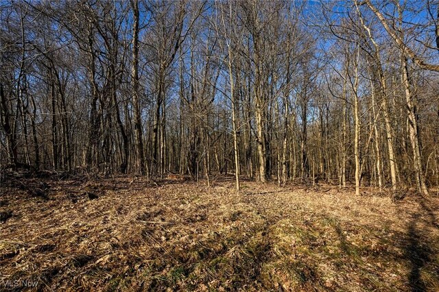 5073 W Streetsboro Rd, Richfield, OH 44286 - photo 27