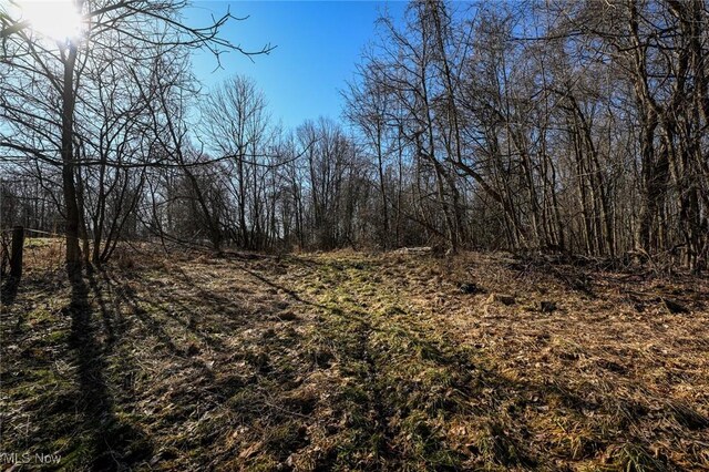 5073 W Streetsboro Rd, Richfield, OH 44286 - photo 28