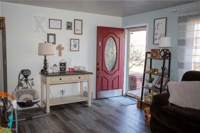 entrance foyer with dark wood-type flooring