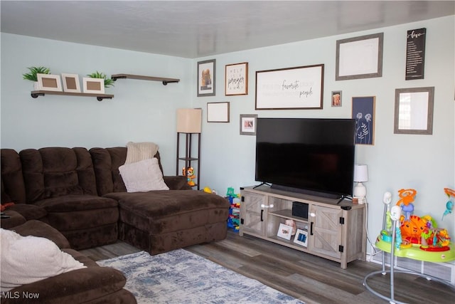 living area with wood finished floors