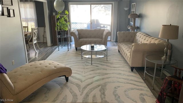 living room featuring wood finished floors