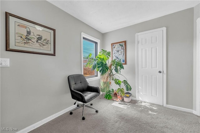 living area with carpet and baseboards