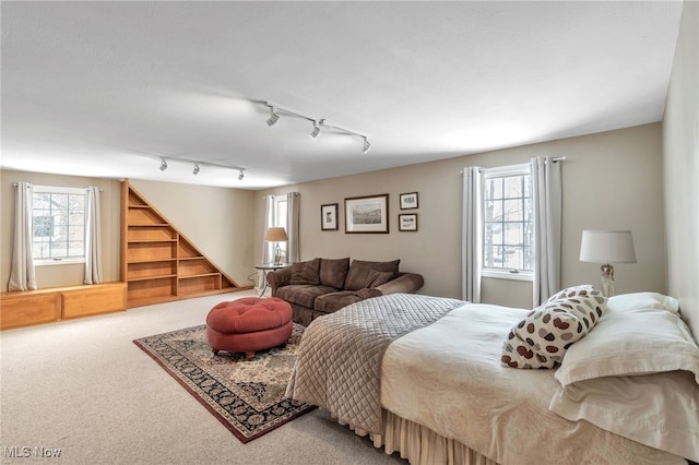 bedroom with track lighting and carpet floors