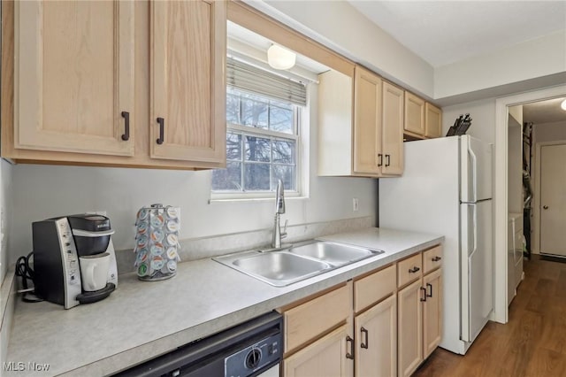 kitchen with a sink, light countertops, dark wood finished floors, and light brown cabinetry