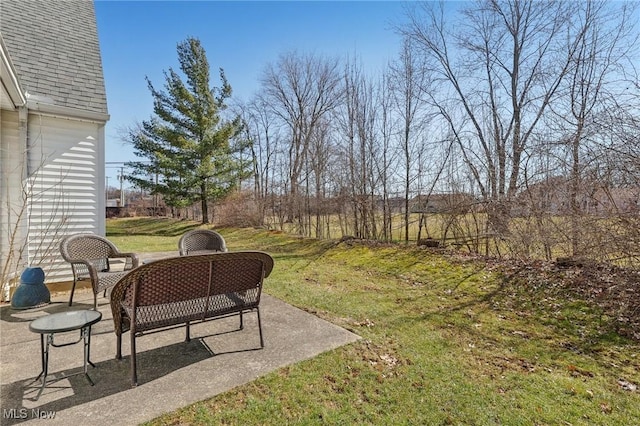 view of yard featuring a patio