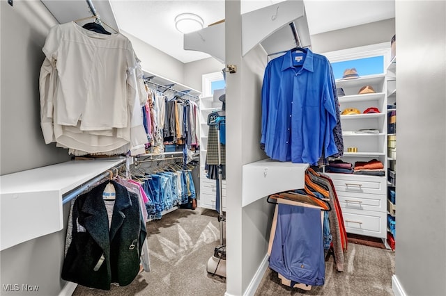 spacious closet with carpet floors