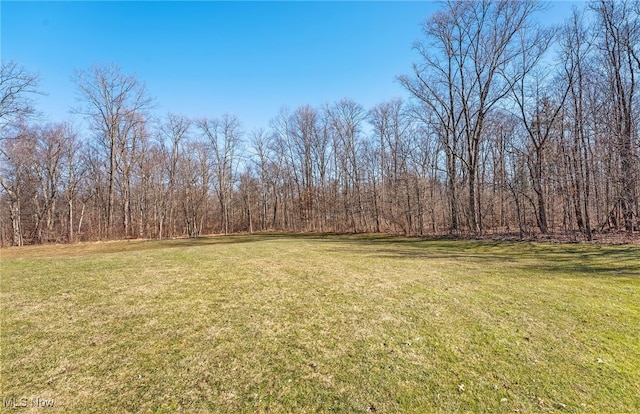 view of yard featuring a forest view