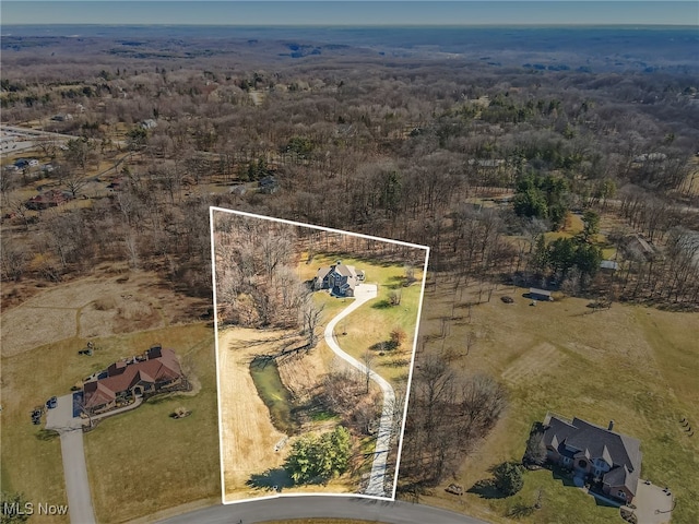 aerial view with a forest view