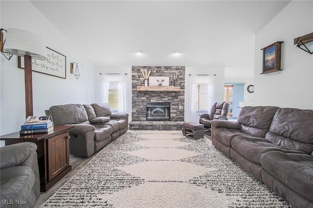 living area featuring wood finished floors and a fireplace