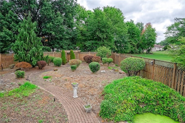 view of yard with a fenced backyard