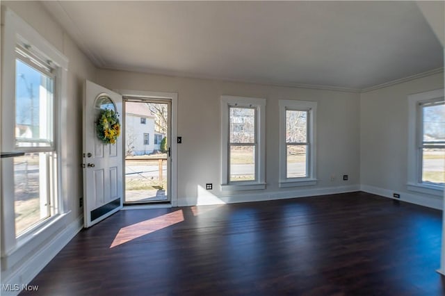 foyer with a healthy amount of sunlight and dark wood-style flooring