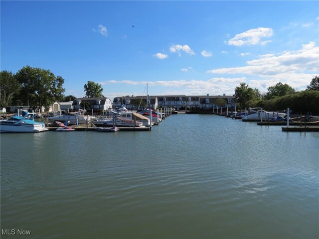 view of water feature with a dock