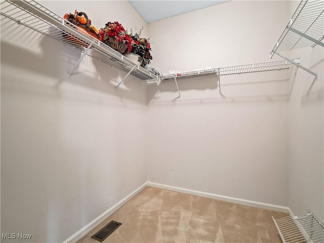 spacious closet featuring light colored carpet and visible vents