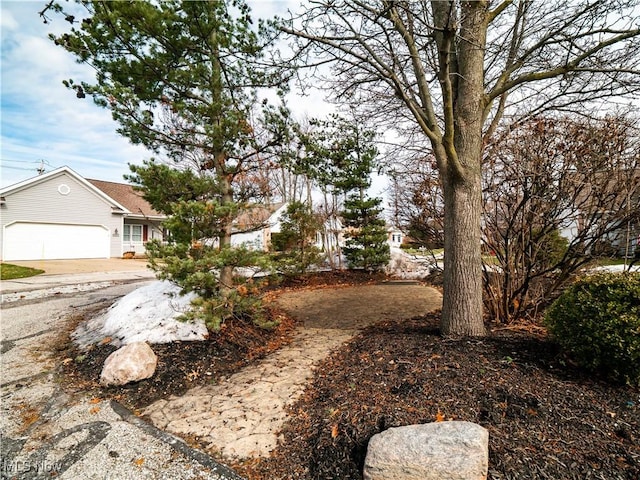 view of yard featuring a garage and concrete driveway