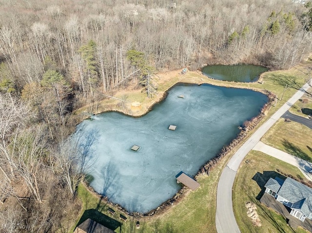 bird's eye view with a water view