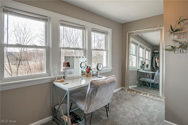 office space with baseboards and carpet floors