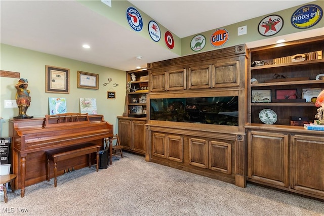 living area featuring light colored carpet