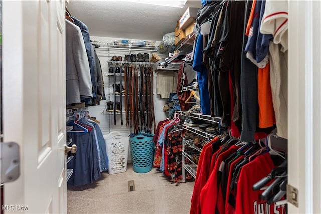 walk in closet featuring carpet flooring