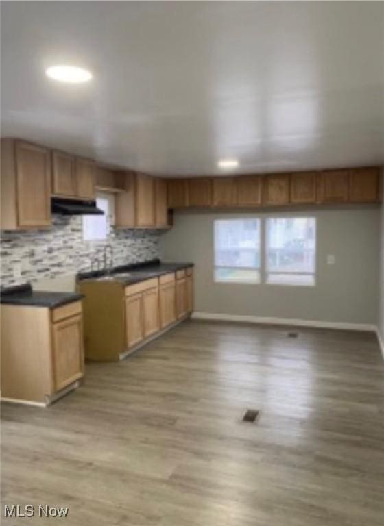 kitchen with baseboards, under cabinet range hood, dark countertops, light wood-type flooring, and backsplash