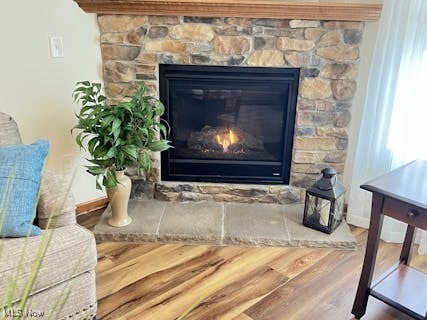 interior details with baseboards, wood finished floors, and a fireplace