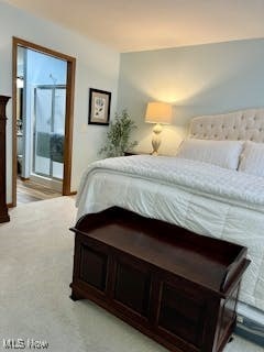 bedroom featuring light colored carpet